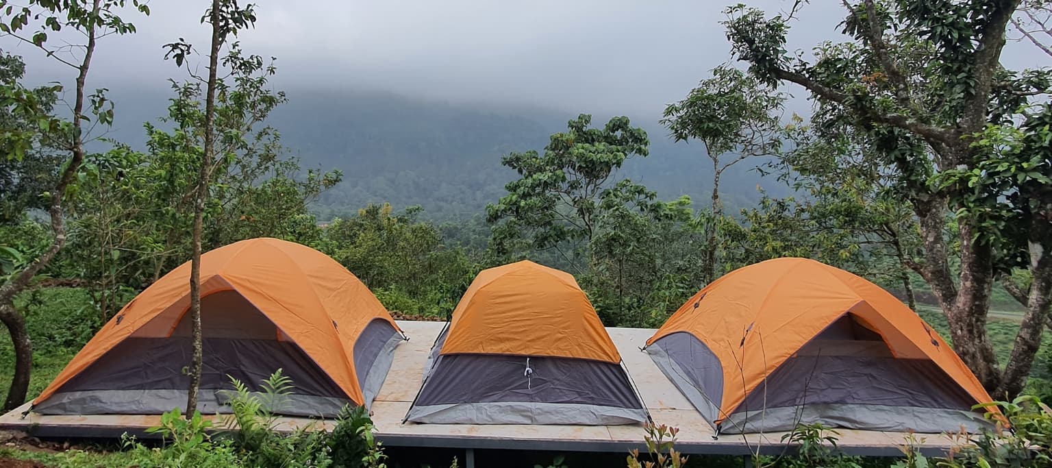 Weekend 3: The Jungle Adventure (Overnight)